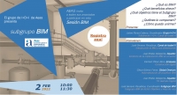 Presentación online subgrupo BIM de AEAS
