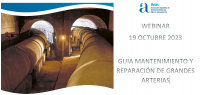 Webinar AEAS "Guía de mantenimiento y reparación de grandes arterias”